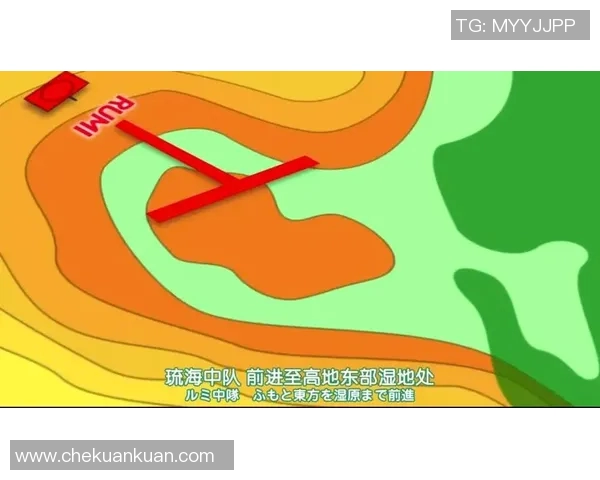 武汉排球队整体压制打法解析与战术优势深度剖析