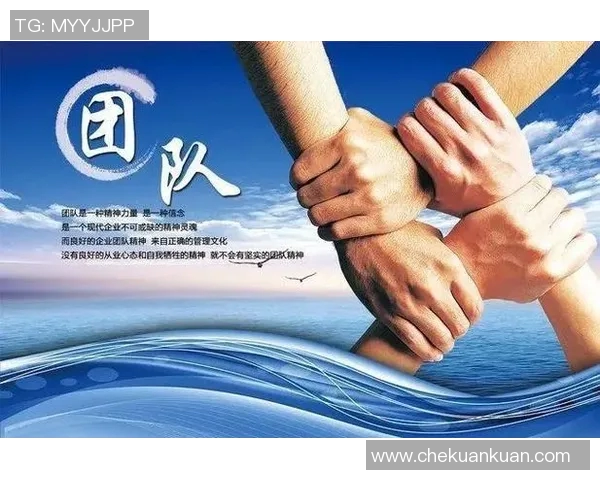 武汉排球队的团队协作与战术配合分析探讨